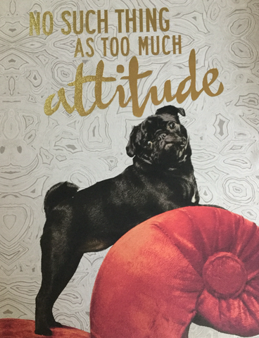 Pug picture - No such thing as too much attitude