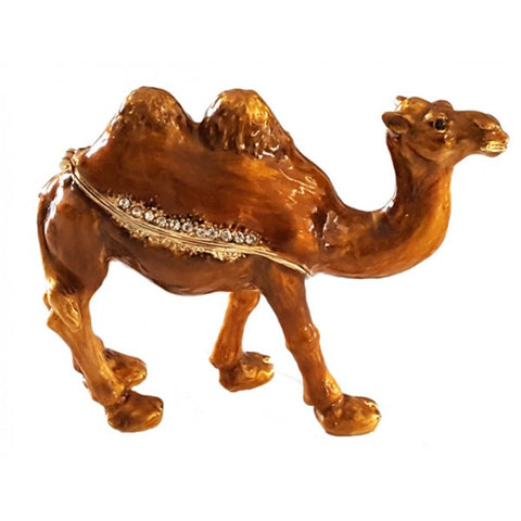 Camel- 2 hump