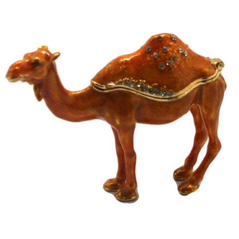 Australian Camel