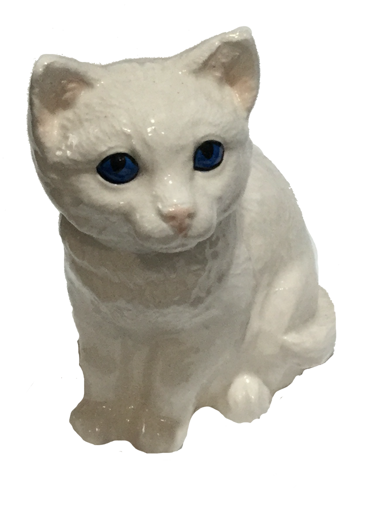 Kitten - white