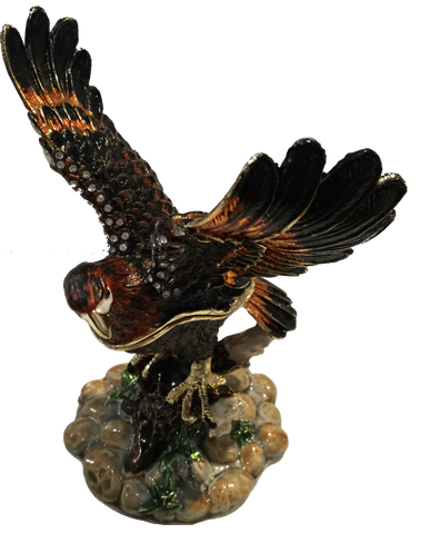 Australian Wedgetail Eagle