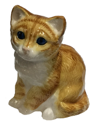 Kitten- Ginger